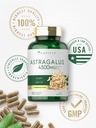 carlyle-astragalus-root-capsules-4500mg--6.jpg