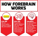 force-factor-forebrain-2-pack-nootropic--6.jpg