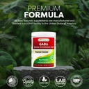 best-naturals-gaba-gamma-aminobutyric-ac-5.jpg