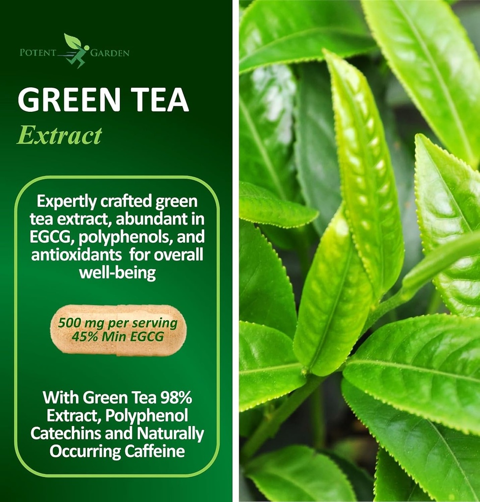 potent-garden-green-tea-extract-with-egc-2.jpg