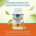 digestive-enzymes-with-probiotics-and-pr-3.jpg