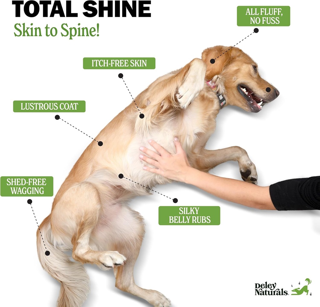 deley-naturals-skin-coat-chews---dog-all-3.jpg