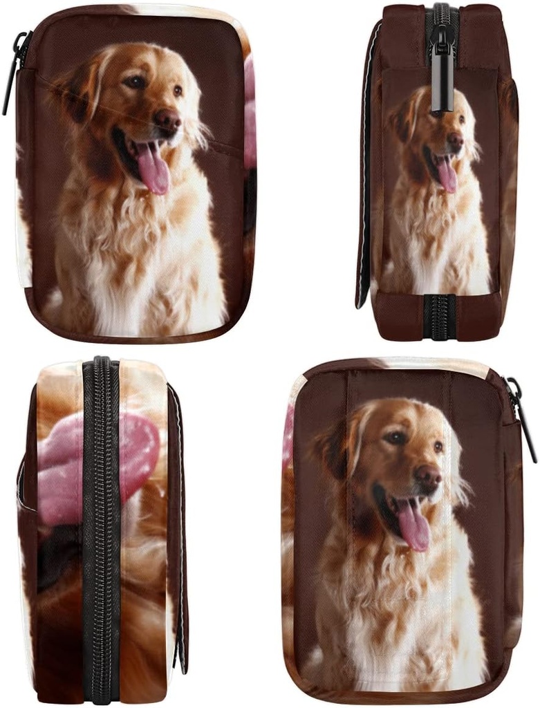 golden-retriever-dog-pill-case-weekly-me-4.jpg