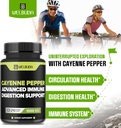 210-capsules---cayenne-pepper-supplement-3.jpg