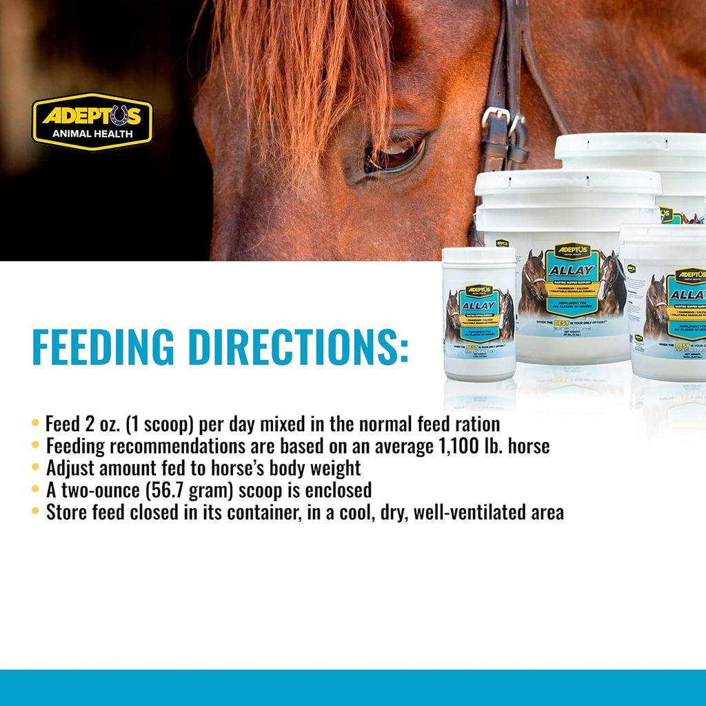 adeptus-nutrition-allay-equine-supplemen-4.jpg