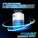 evlution-l-citrulline2000-nitric-oxide-s-5.jpg