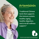 bestvite-artemisinin-100mg-240-vegetaria-2.jpg