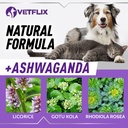pet-adrenal-support-for-dogs-cats---made-4.jpg