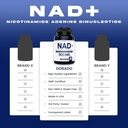 nad-supplement-500mg-of-95-pure-nad-per--4.jpg