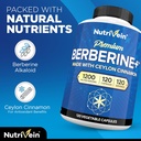 nutrivein-premium-dim-berberine-suppleme-4.jpg