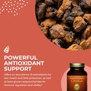 healthforce-superfoods-integrity-extract-4.jpg