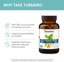 himalaya-turmeric-95---herbal-supplement-6.jpg