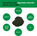 sun-chlorella-powder-green-algae-superfo-6.jpg