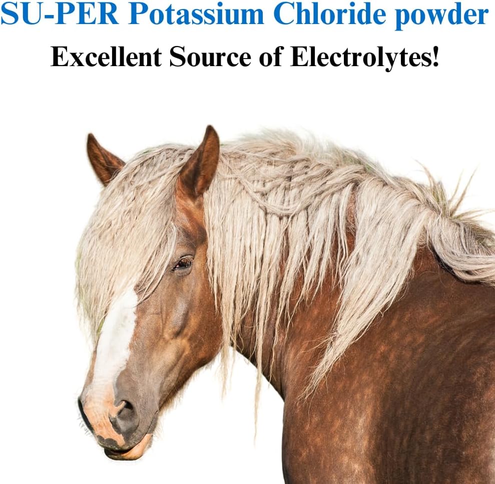 su-per-potassium-chloride-horse-electrol-2.jpg