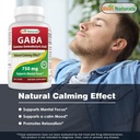 best-naturals-gaba-supplement-750mg-l-th-4.jpg