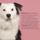 urinary-tract-health-soft-chews-for-dogs-6.jpg