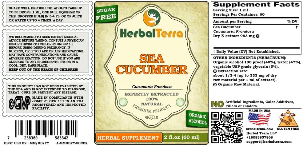 herbal-terra-llc-sea-cucumber-cucumaria--2.jpg
