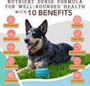 natural-dog-company-urinary-and-multivit-4.jpg