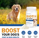 biotin-for-dogs-supports-shiny-coat-and--2.jpg