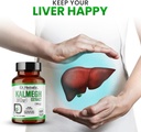 dr-herbalist-kalmegh-extract-400mg-60-ve-4.jpg