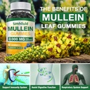 2-pack-sugar-free-3000mg-mullein-gummies-5.jpg