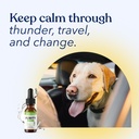 honest-paws-hemp-oil-for-dogs---natural--5.jpg