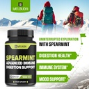210-capsules---spearmint-supplement-with-3.jpg