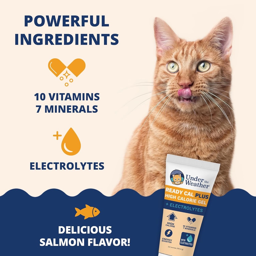 under-the-weather-pet-electrolytes-ready-3.jpg
