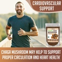 xprs-nutra-organic-chaga-powder-4-ounce--6.jpg