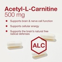 protocol-acetyl--l-carnitine-500mg---ene-4.jpg