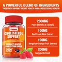 1-pack-cholesterol-support-gummies-conta-3.jpg