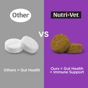 nutri-vet-pre-probiotics-for-dogs-digest-2.jpg