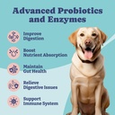 probiotics-for-dogs-for-gut-health-and-d-3.jpg