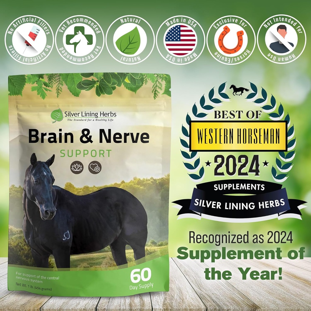 silver-lining-herbs-brain-nerve-support--5.jpg