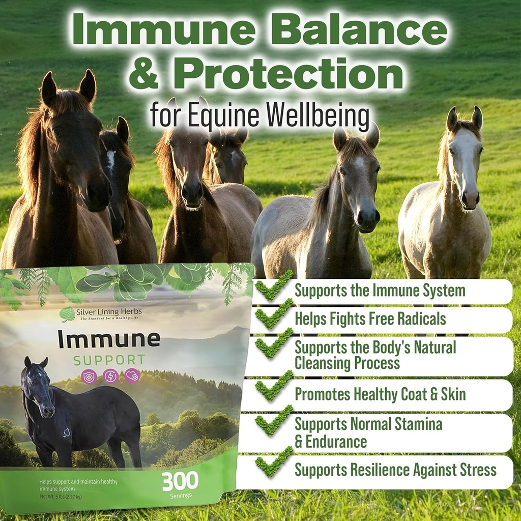 silver-lining-herbs-immune-support-for-h-2.jpg