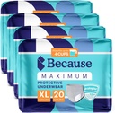 because-maximum-incontinence-underwear-f-2.jpg