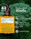 herb-pharm-khella-liquid-extract-for-res-2.jpg