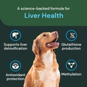 vetriscience-veterinary-strength-liver-h-4.jpg