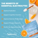 paleovalley-essential-electrolytes-powde-4.jpg