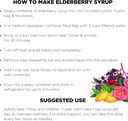 elanen-naturals-organic-elderberry-syrup-5.jpg