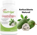 guanabana-graviola-soursop---super-antio-6.jpg