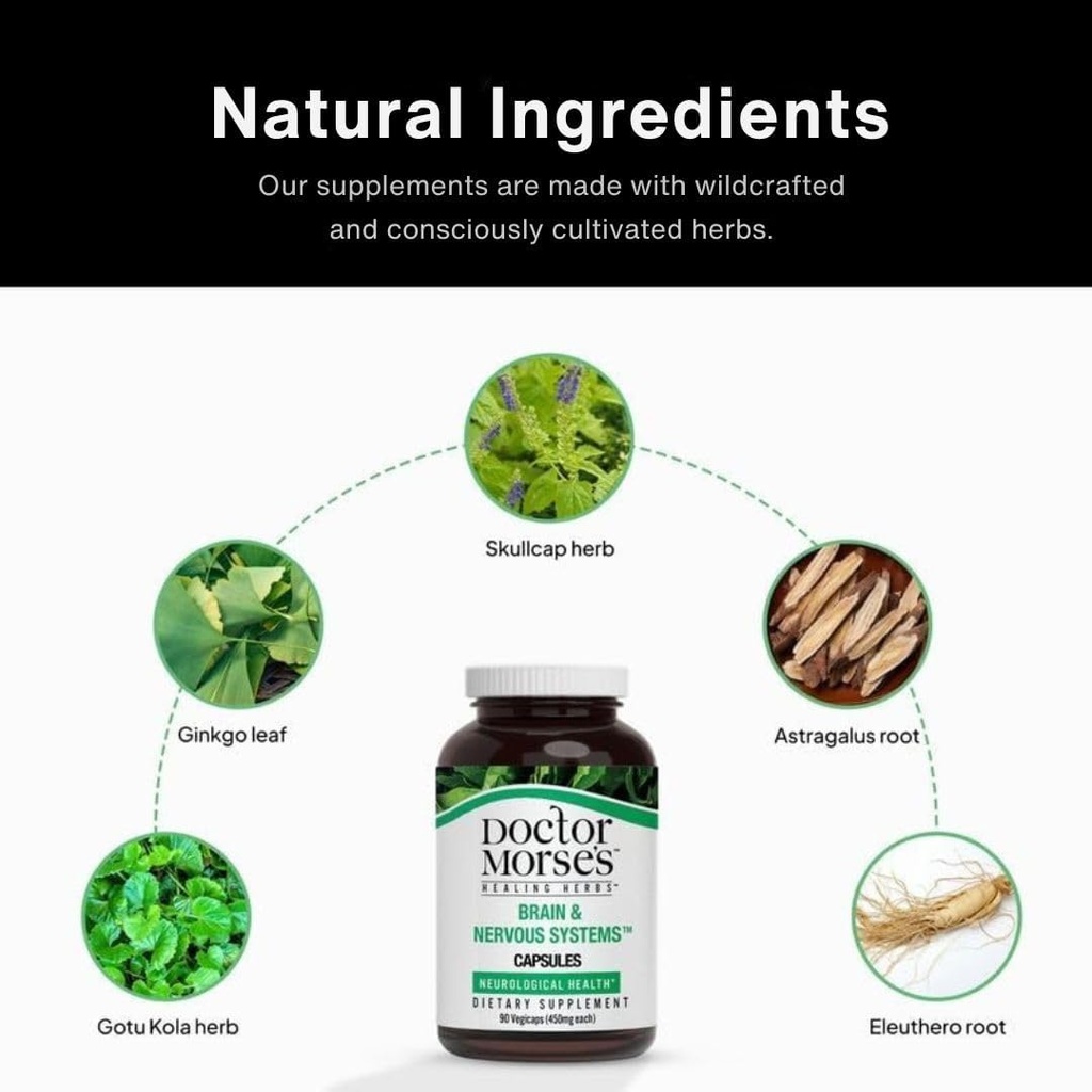 doctor-morses-brain-nervous-systems-supp-2.jpg