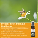 hi-well-premium-propolis-extra-strength--3.jpg