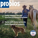 probios-for-horses-soft-chews-daily-prob-2.jpg