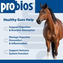 probios-for-horses-soft-chews-daily-prob-3.jpg