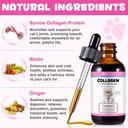 collagen-for-cats-cat-collagen-liquid-dr-2.jpg