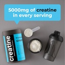 creatine-monohydrate-powder-maximize-you-5.jpg