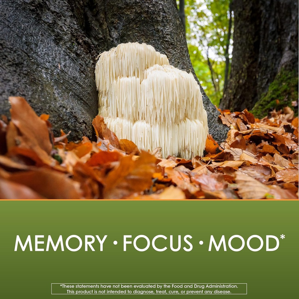 planetary-herbals-lions-mane-for-memory--5.jpg
