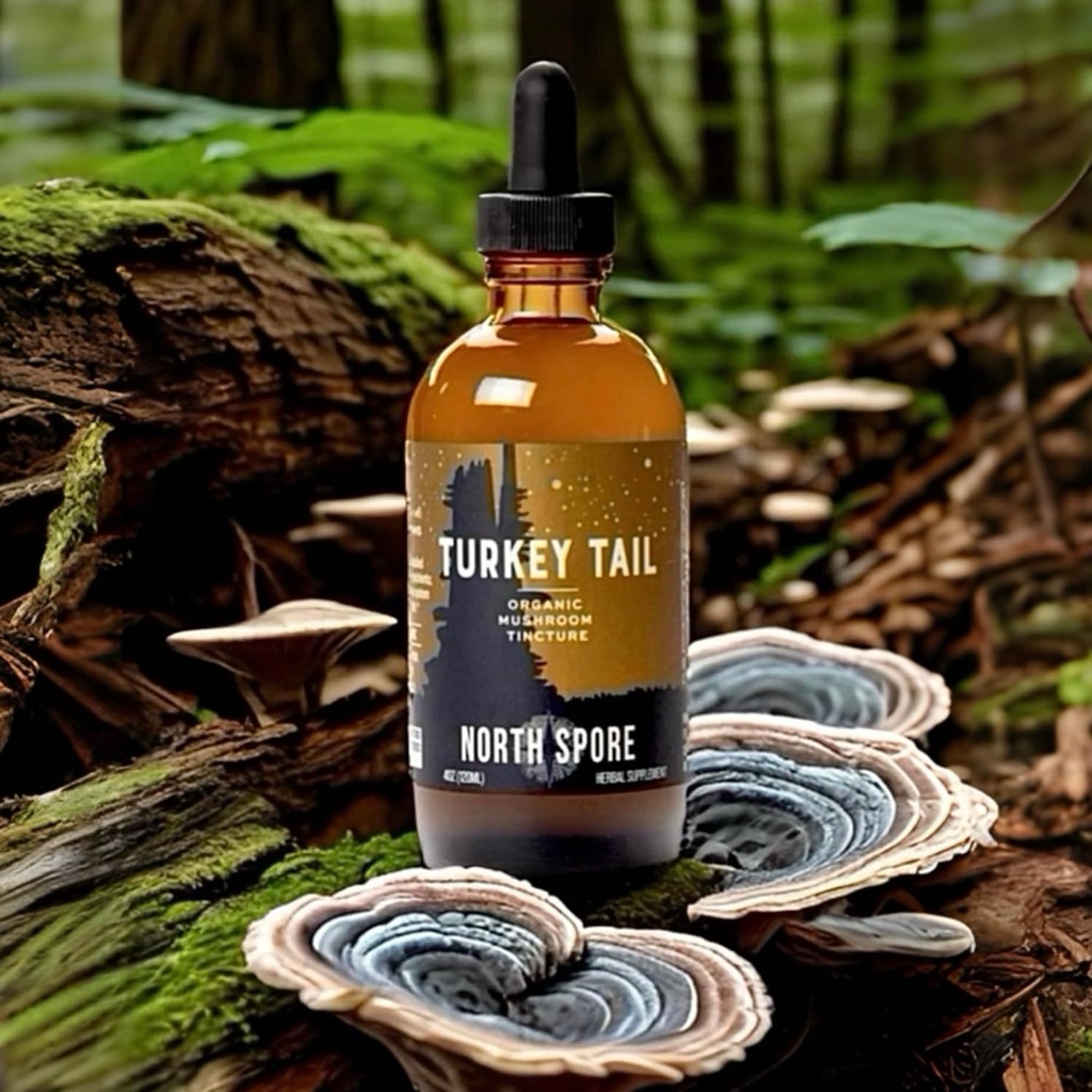 north-spore-organic-turkey-tail-tincture-4.jpg