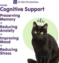 dr-bills-feline-cognitive-support-memory-3.jpg